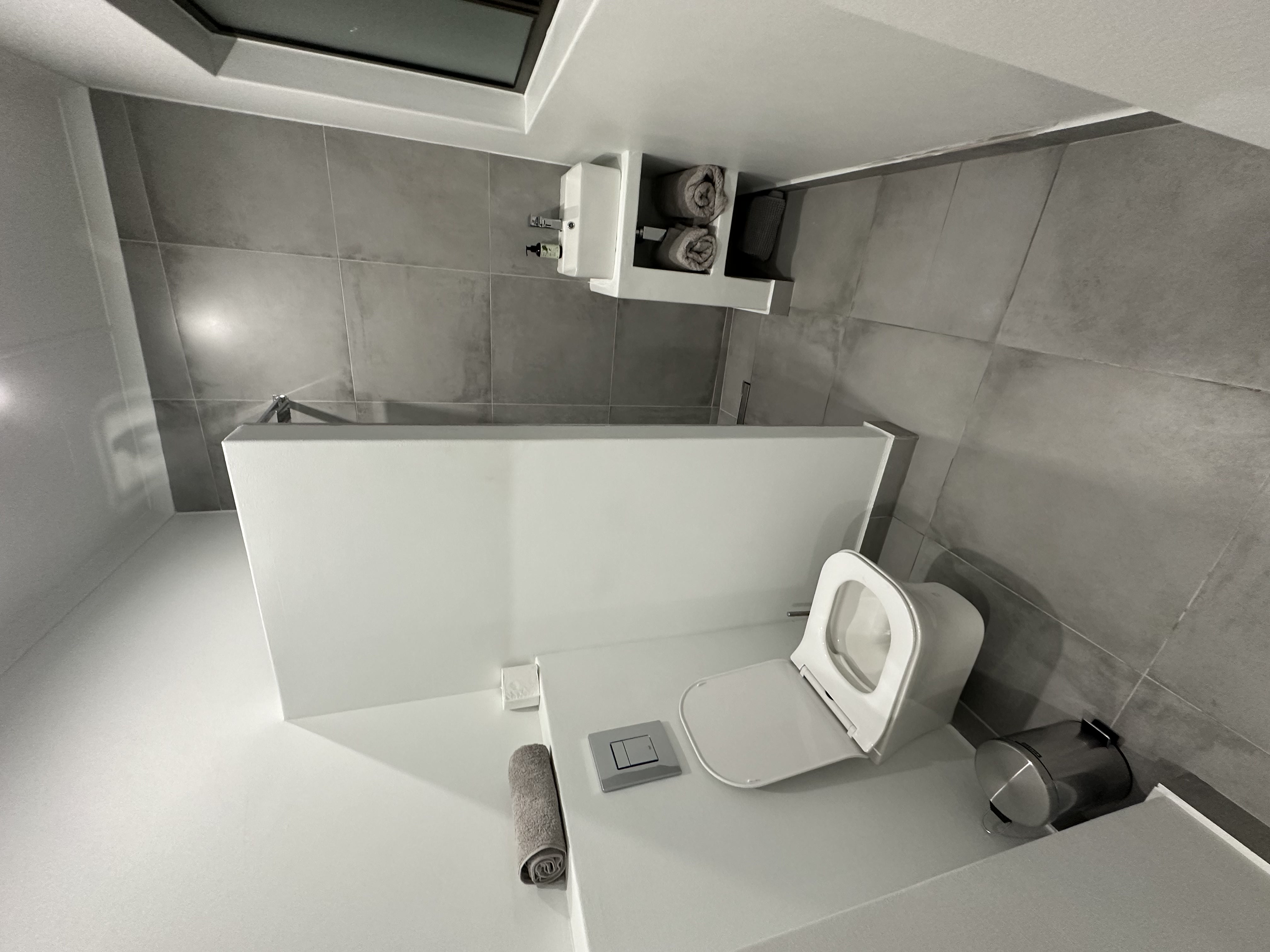 Guest Toilet & Shower